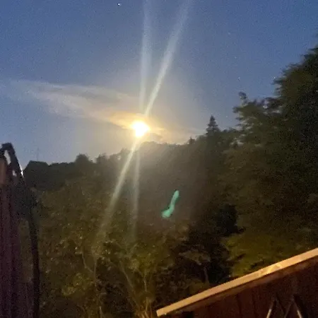 Ferienwohnung Pfefferberg Ziegenrück Exterior foto